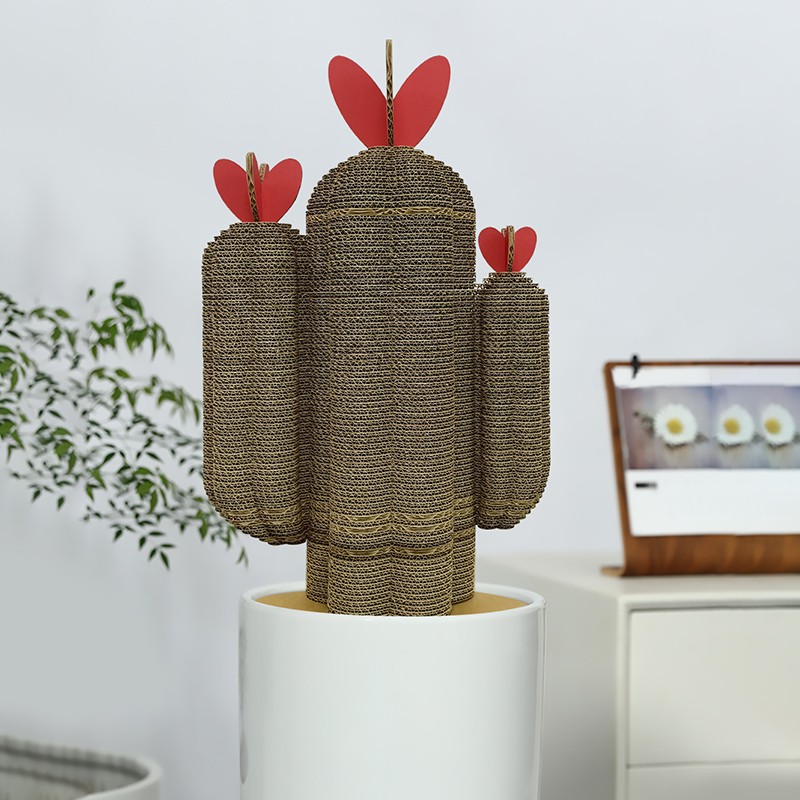 Plant cactus5植物仙人掌5