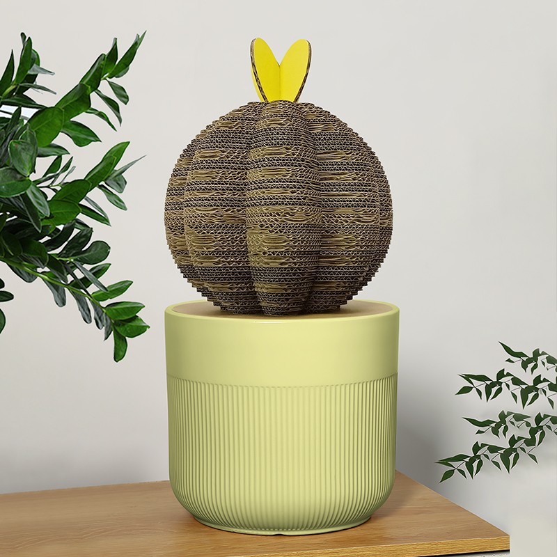 Plant cactus4植物仙人掌4