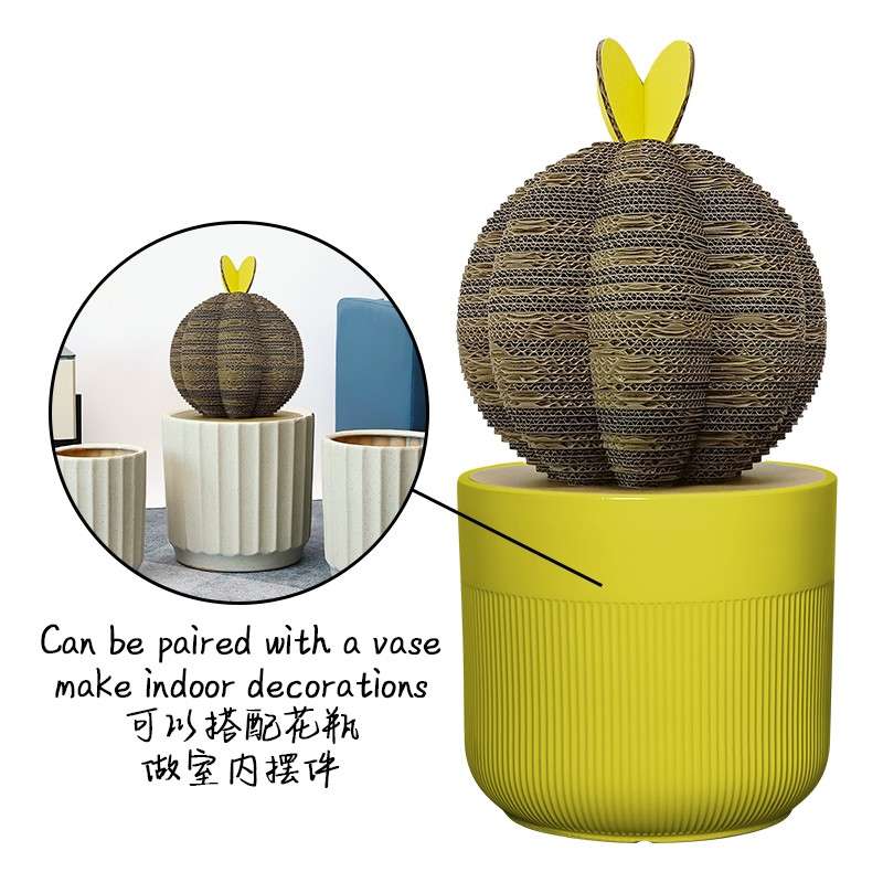 Plant cactus4植物仙人掌4