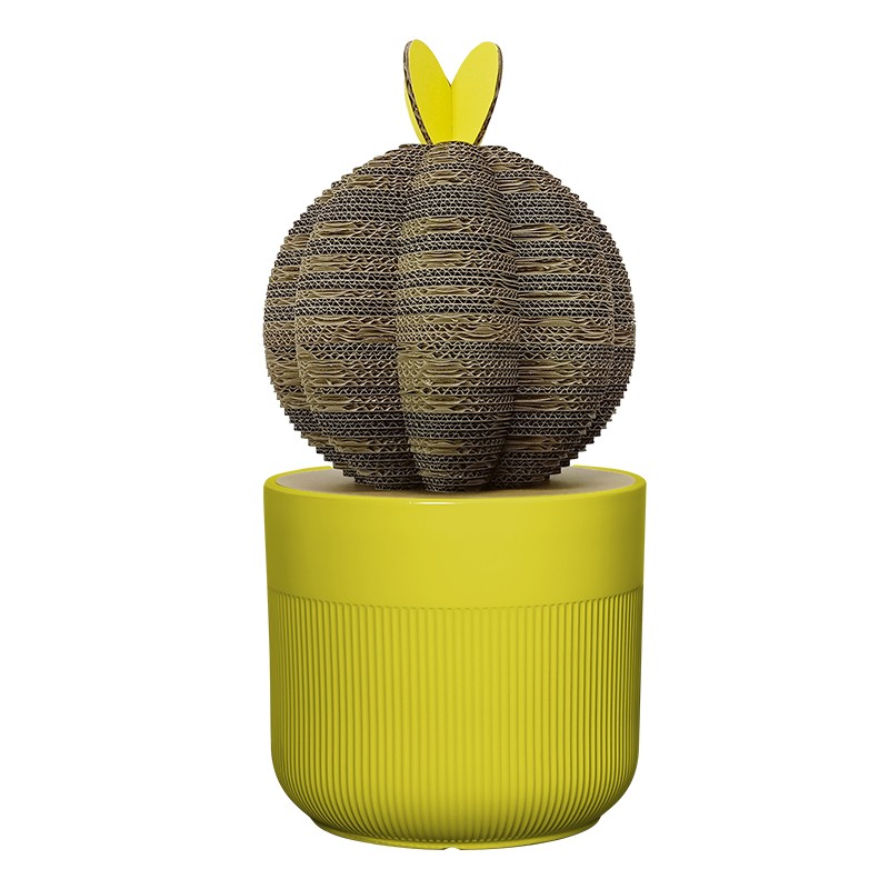 Plant cactus4植物仙人掌4