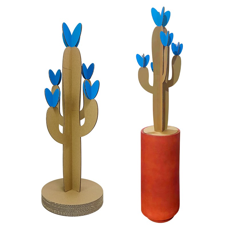 Plant cactus3植物仙人掌3