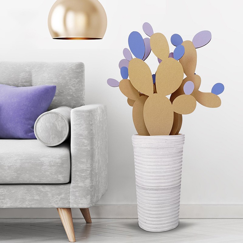 Plant cactus2植物仙人掌2