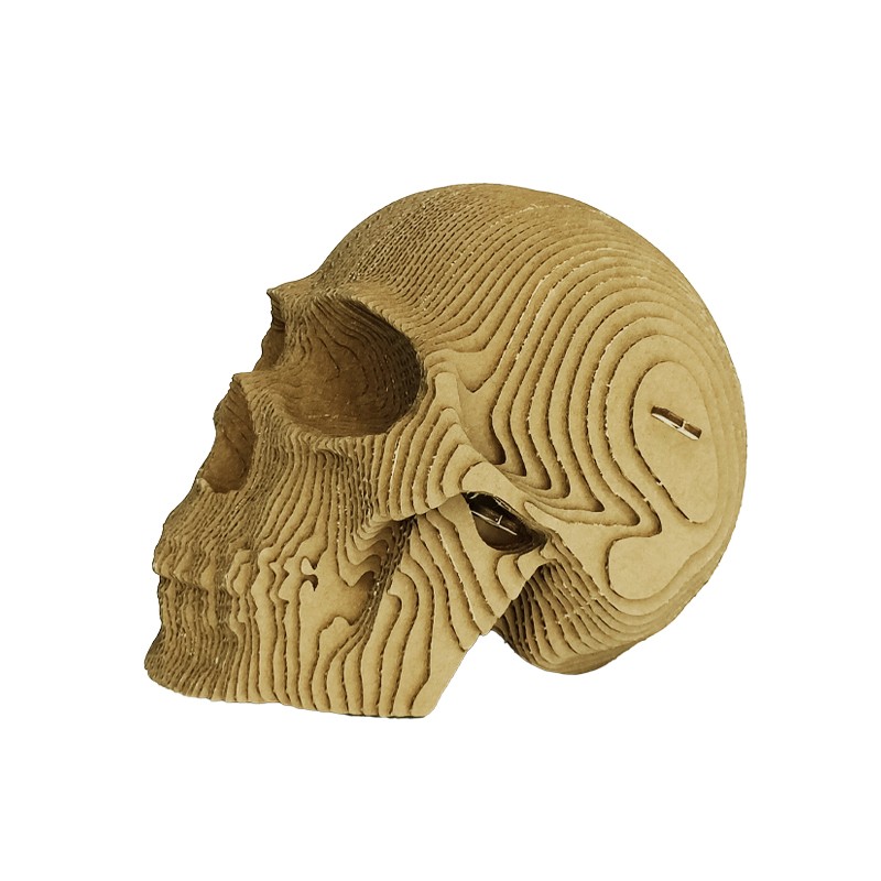 骷颅头skull