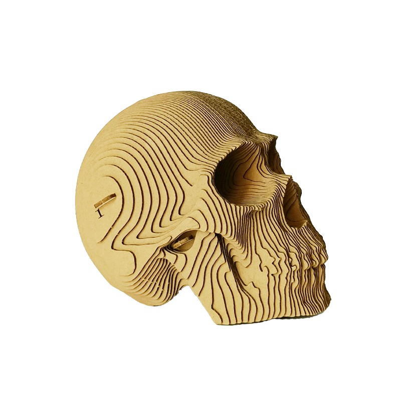 骷颅头skull
