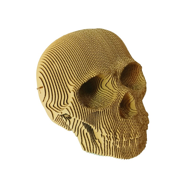 骷颅头skull