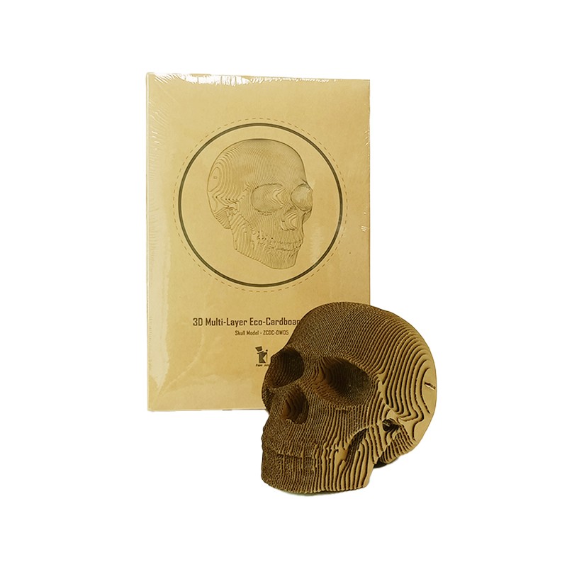 骷颅头skull