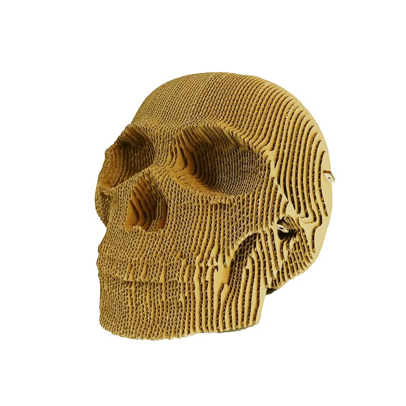 骷颅头skull