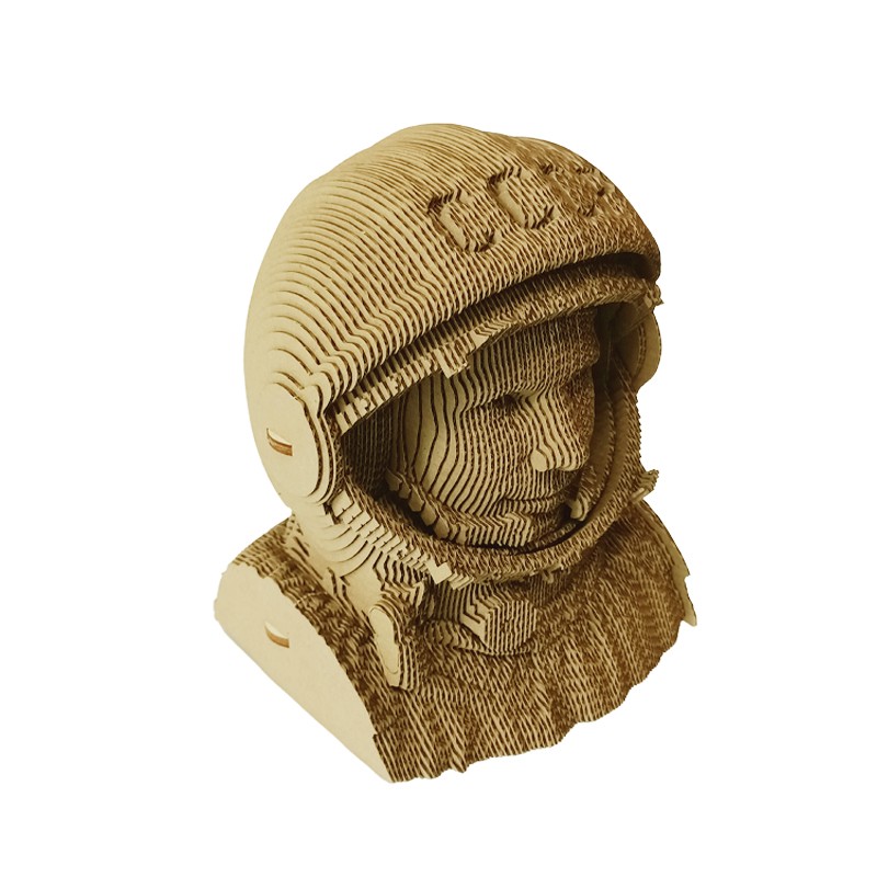 宇航员astronaut