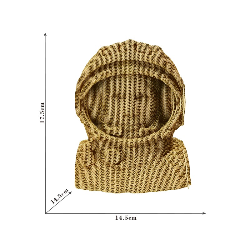 宇航员astronaut