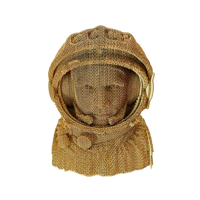 宇航员astronaut