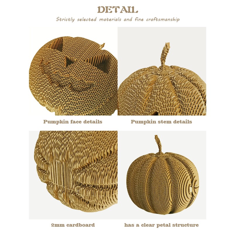 南瓜Pumpkin