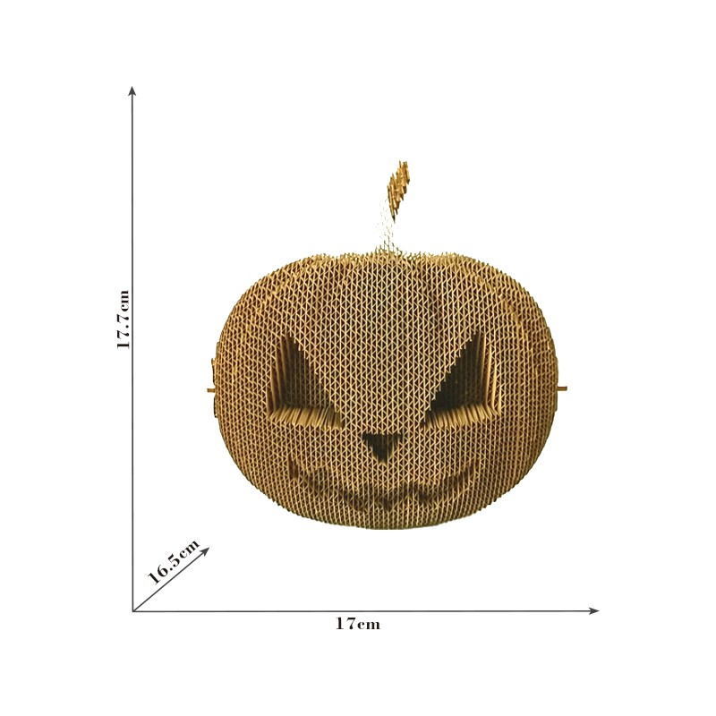 南瓜Pumpkin
