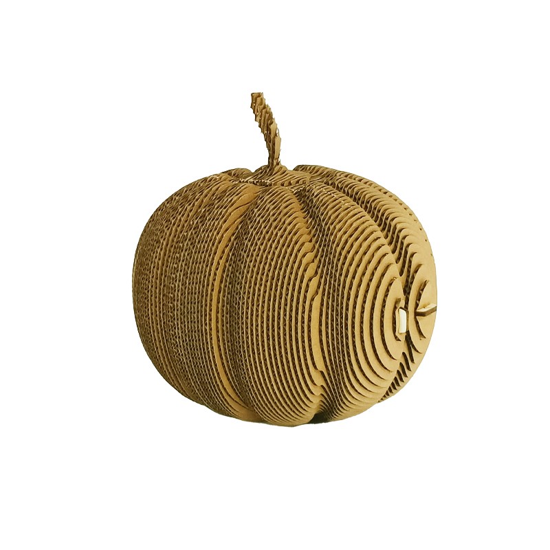 南瓜Pumpkin