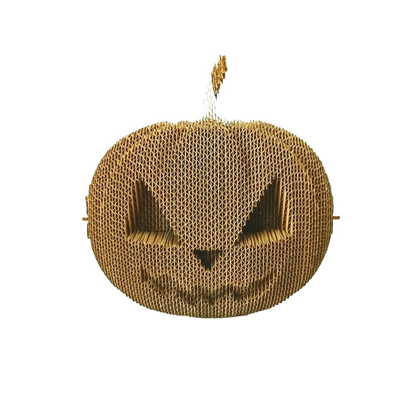 南瓜Pumpkin