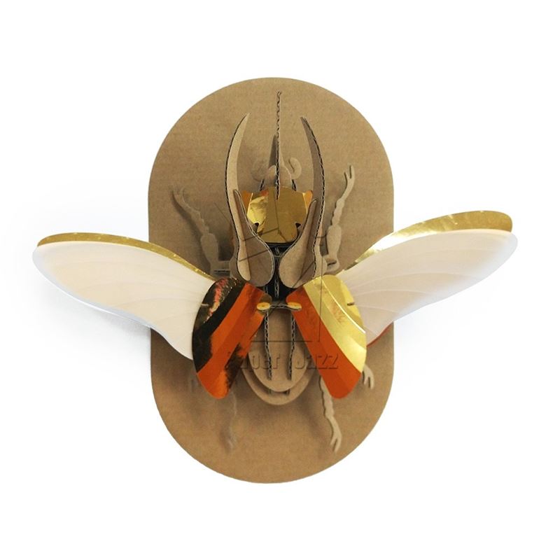 Atlas beetle阿特拉斯甲虫