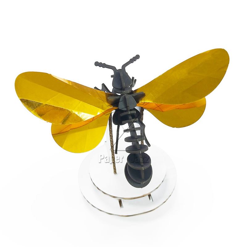 Paper wasp纸黄蜂